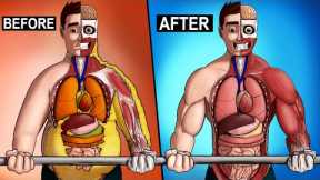 What Happens To Your Body From Exercise