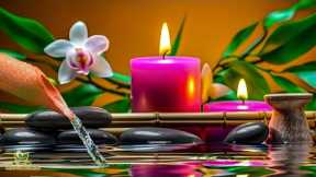 Healing Music for Anxiety Disorders , Reduce Stress, Calming Music, Meditation Music, Nature, Bamboo