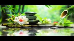 Relaxing Music for Stop Overthinking, Reduce Stress, Calming Music, Meditation Music , Nature Sounds