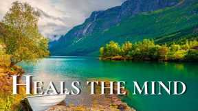 Relaxing Music Helps Reduce Stress, Anxiety And Depression 🌿 Heals The Mind, Body And Soul