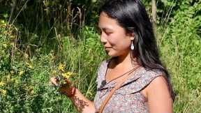 [ASMR] Natural Herbal Medicine Part 1: Picking Medicinal Flowers and Plants 🌼