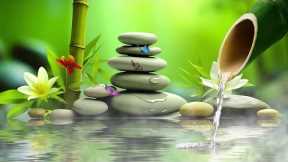 Calm Piano Music to Reduce Stress, Anxiety and Negative Emotions, Listen and Balance Body and Mind
