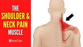 The Neck and Shoulder Pain Muscle (How to Release It for INSTANT RELIEF)