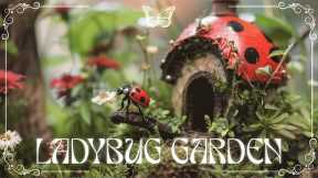 LADYBUG GARDEN 4K(60FPS)🐞🌿 Peaceful Classical Music to Reduce Stress & Rain Sound ♫ - #98