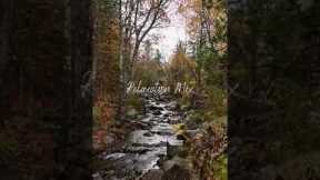 Anxiety Relief Piano Music to Reduce Stress, Meditate, and Sleep Better #shorts