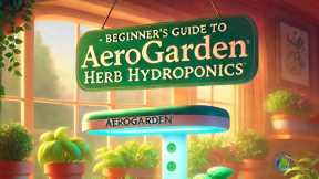 Beginner's Guide To AeroGarden Herb Hydroponics