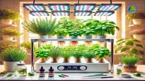 Essential Tips For Growing Hydroponic Herbs Successfully