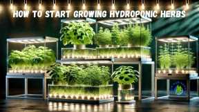 Daily Maintenance of Hydroponic Herbs