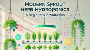 Common Issues And How To Troubleshoot Modern Sprout Hydroponics