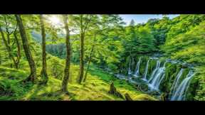 Good music to relax and reduce stress - Relaxing music to heal the mind & meditate #8