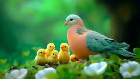 Reduce Anxiety in Just Minutes 🌿 Relaxing Music to Heal Your Mind, Relieve Stress and Sadness 🎵