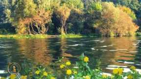 Relaxing Music for Pregnant Women to Reduce Anxiety and Stress During Pregnancy 🌿