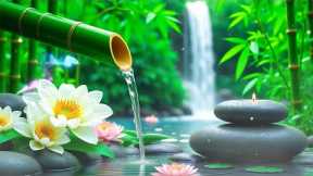 Healing Music for Anxiety Disorders, Reduce Stress, Calming Piano Music for Meditation, Spa