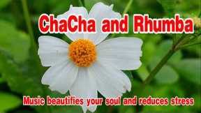 ChaCha and Rhumba melody, New relaxing music helps reduce stress, music beautifies your soul