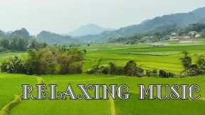 Beautiful melody, New relaxing music helps reduce stress, music for relaxation, peace and happiness