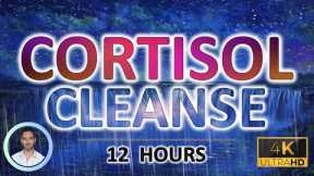 Calming Cortisol Cleanse | Sound Therapy for Deep Sleep | Reduce Cortisol & Anxiety | 12 Hours |