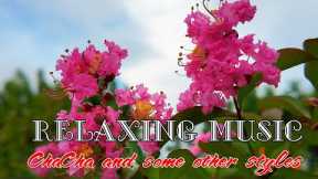Relaxing music bring peace and reduce stress, ChaCha and some other styles vol 239
