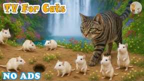 SPECIAL TV FOR CATS to Reduce Stress😻📺Game Mice Hiding & Climbing, Mouse Sounds & Relaxing Music