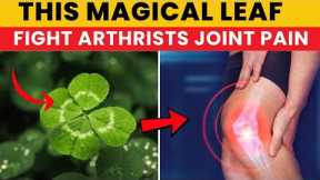 magical leaves That Fights Arthritis & Joint Pain Naturally