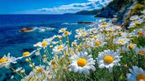 You can relax with this song🎶Healing music helps reduce stress, fatigue, and depression🍀Take a break