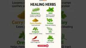 8 Healing Herbs You Should Use Daily 🌿 | Natural Health Hacks #shorts