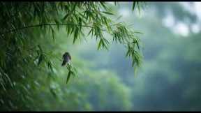 Relaxing🌿 music to sleep deeply and rest the mind, reduce stress.