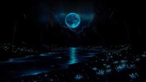 Deep Sleep Therapy 💤 3 Hours of Music to Reduce Stress, Anxiety and Overthinking