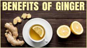 Health Benefits of Ginger / Healthy Hacks