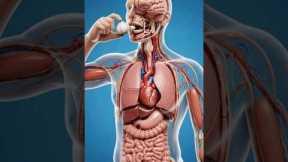 What Happens If Garlic Enters Inside Your Body | Digestion Animation | #healtheffects #sideeffects