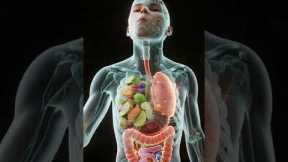What Happens Inside Your Body When You Eat Fruits & Vegetables? | 3D Digestion Animation