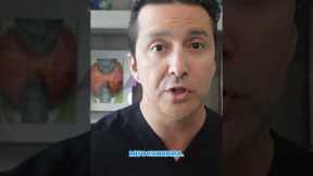 Why Neuropathy Heals So Slowly | Diabetes Nerve Damage Explained