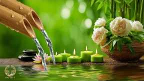 Calm Relaxing Music 🍃 Ease Overthinking, Reduce Stress & Anxiety, Sleep Music for Deep Inner Peace