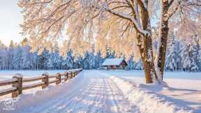 Beautiful Winter Music 2026 ❄️ Calming Music to Reduce Stress and Calm the Mind