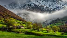 Beautiful Piano Music 🌿 Calm Anxiety, Reduce Stress & Restore Nervous System