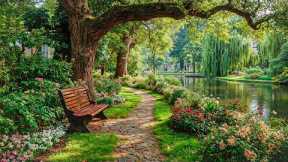 Beautiful Relaxing Music 2026 🌿Stop Overthinking, Reduce Stress & Relax Deeply