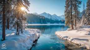 Calming January Snow Music ❄️ Beautiful Relaxing Music to Reduce Stress and Calm the Mind