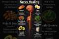 Top 10 Foods to Heal Your Nerves