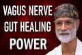 How the Vagus Nerve Heals Your Gut: