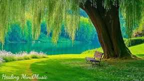 Beautiful Relaxing Music & Nature Sounds 🌿 Reduce Stress, Stop Overthinking and Deep Sleep