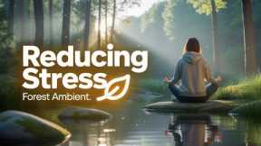 Discover the Secret to Reducing Stress with Soothing Music