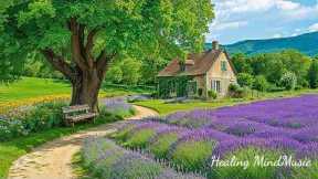 Peaceful Piano Music 🌿 Relaxing Music & Nature Sounds to Reduce Stress and Stop Overthinking