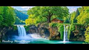 Gentle Piano Music 🌿 Relaxing Music Helps Reduce Stress & Balance Emotions, Soothing The Soul.