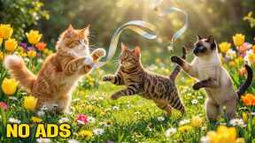 12 Hours of CALMING Music for Cats to Reduce Stress and Anxiety