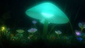 Instantly Lower Cortisol: Calming Music Therapy for Stress Relief