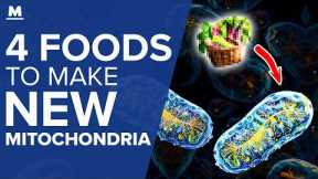 4 Foods to Make New Mitochondria (Scientific Proof) | Mastering Diabetes