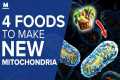 4 Foods to Make New Mitochondria