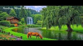 Music Heals the Soul 🌿 Beautiful Piano Music Helps Reduce Stress and Anxiety, Calming Music