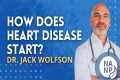 How Does Heart Disease Start? with Dr.